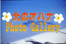 北のオハナＰｈｏｔｏ Ｇａｌｌｅｒｙへ